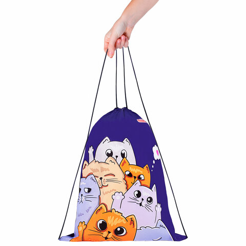 Мешок для обуви ПИФАГОР, 1 отделение, 42х34 см, "Cats greetings", Мешок для обуви ПИФАГОР, 1 отделение, 42х34 см, "Cats greetings",