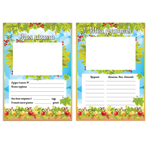 Листы-вкладыши для портфолио школьника, 14 разделов, 16 листов, "Окружающий