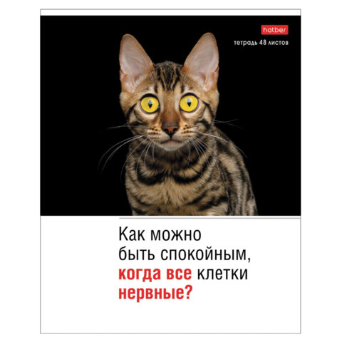 Тетрадь А5 48 л., HATBER скоба, клетка, обложка картон, "Котоюмор"