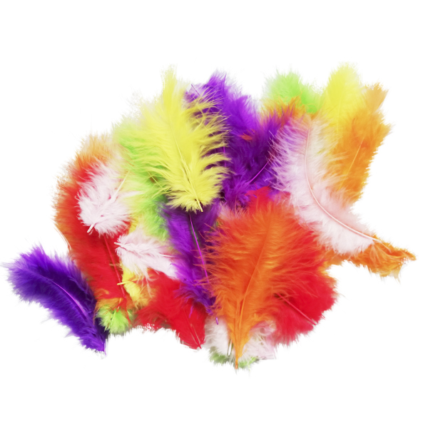 Перья разноцветные 30 шт Перья разноцветные 30 шт