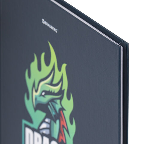 Дневник 1-11 класс 40 л., твердый, BRAUBERG, матовая ламинация,