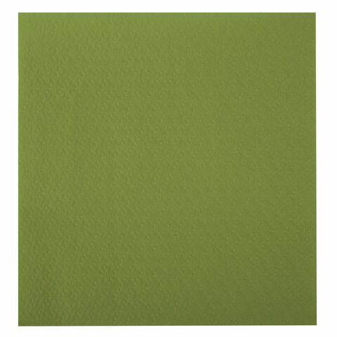Салфетки бумажные 400 шт., 24х24 см, "Big Pack", зелёные, 100%