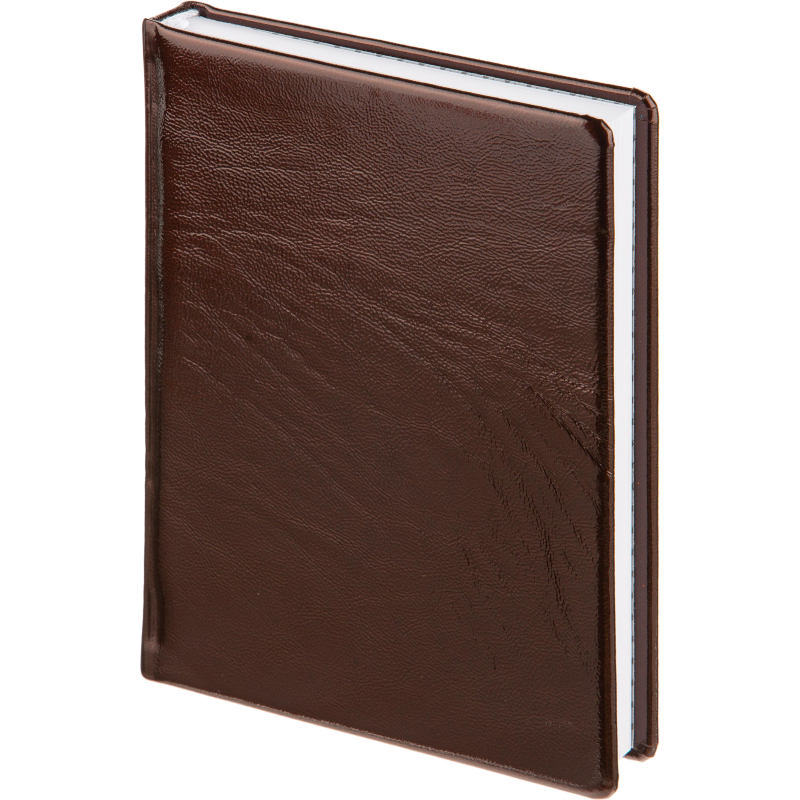 Ежедневник недатированный Attache Selection Gloss, А5,160л., корич,нат.кожа Ежедневник недатированный Attache Selection Gloss, А5,160л., корич,нат.кожа