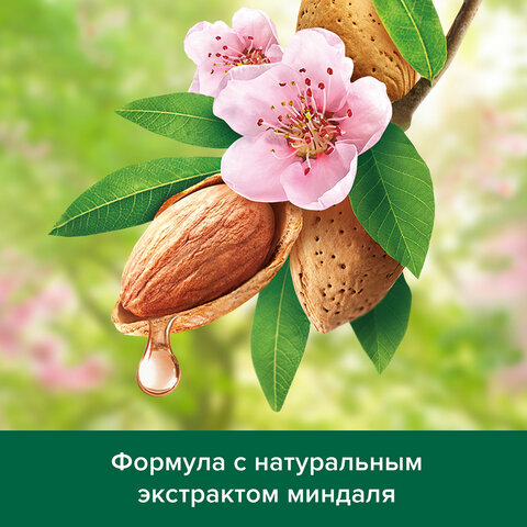 Шампунь 450 мл PALMOLIVE НАТУРЭЛЬ "Миндаль", для сухих, поврежденных Шампунь 450 мл PALMOLIVE НАТУРЭЛЬ "Миндаль", для сухих, поврежденных