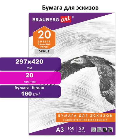 Папка для рисования БОЛЬШОГО ФОРМАТА А3, 20 л., 160 г/м2, BRAUBERG, 297х420 мм, Папка для рисования БОЛЬШОГО ФОРМАТА А3, 20 л., 160 г/м2, BRAUBERG, 297х420 мм,