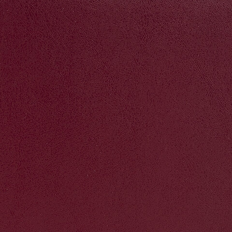 Папка адресная бумвинил "ПОЗДРАВЛЕМ!", формат А4, бордовая,