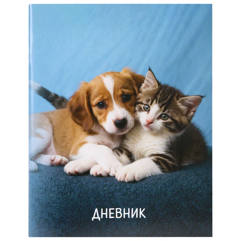 Дневник 1-11 класс 40 л., на скобе, ПИФАГОР, обложка картон, МИКС Дневник 1-11 класс 40 л., на скобе, ПИФАГОР, обложка картон, МИКС