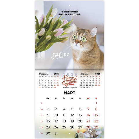 Календарь настенный перекидной 2026 г., BRAUBERG, 12 листов, 21,4х21,4 см, МИНИ, Календарь настенный перекидной 2026 г., BRAUBERG, 12 листов, 21,4х21,4 см, МИНИ,