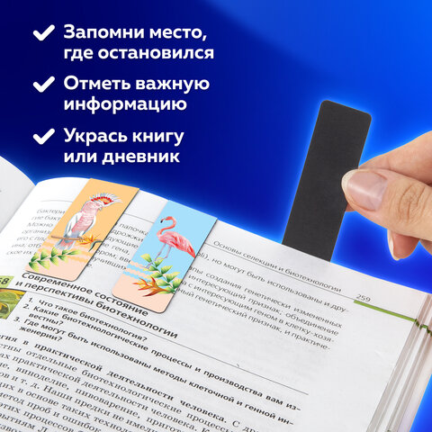 Закладки для книг МАГНИТНЫЕ, "MIX", набор 30 шт., 60x20 мм, BRAUBERG, Закладки для книг МАГНИТНЫЕ, "MIX", набор 30 шт., 60x20 мм, BRAUBERG,
