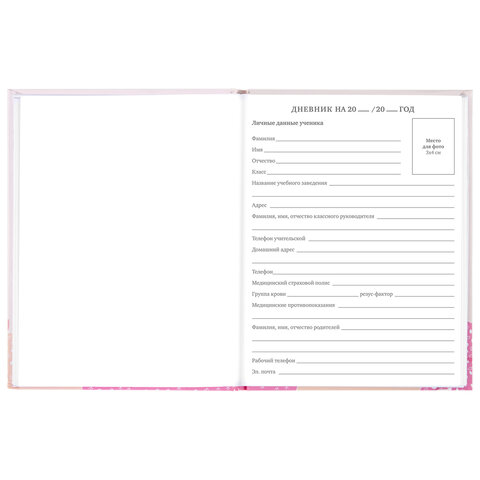 Дневник 5-11 класс 48 л., твердый, BRAUBERG, глянцевая ламинация, с подсказом,