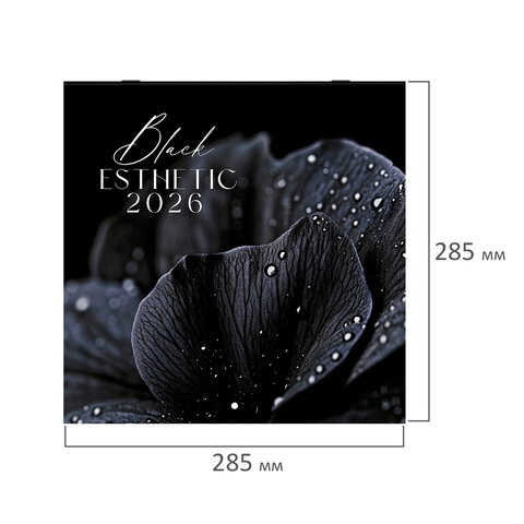 Календарь настенный перекидной 2026 г., BRAUBERG, 12 листов, 28,5х28,5 см,