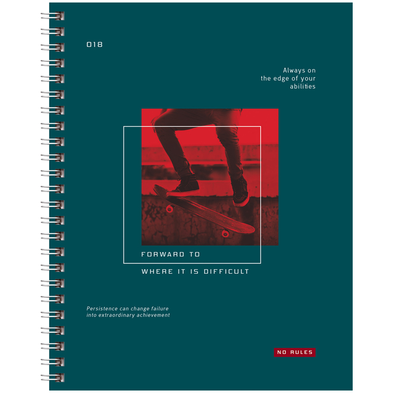 Тетрадь 96 листов, А5, клетка на гребне BG "Спорт - это жизнь",