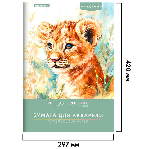 Папка для акварели БОЛЬШАЯ А3, 20 л., 200 г/м2, 297х420 мм, BRAUBERG АКАДЕМИЯ,