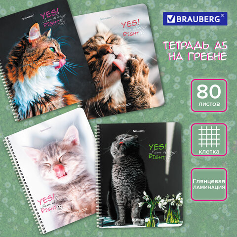 Тетрадь А5 80 л. BRAUBERG, гребень, клетка, глянцевая ламинация, "Довольные Тетрадь А5 80 л. BRAUBERG, гребень, клетка, глянцевая ламинация, "Довольные