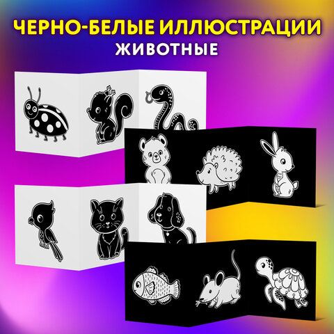 Карточки для новорожденных 6 книжек-гармошек ДЛЯ РАЗВИТИЯ ЗРЕНИЯ С ПЕЛЕНОК, Карточки для новорожденных 6 книжек-гармошек ДЛЯ РАЗВИТИЯ ЗРЕНИЯ С ПЕЛЕНОК,