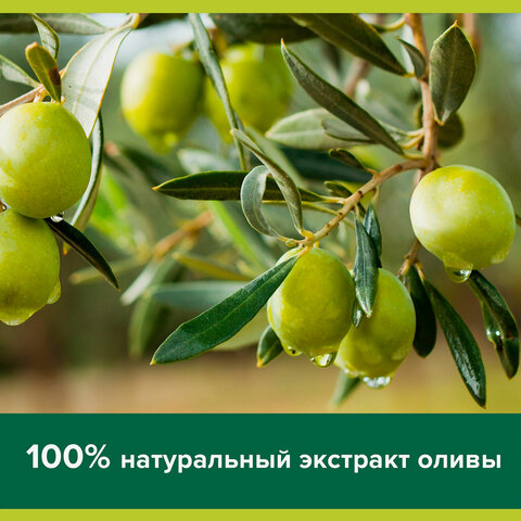 Мыло туалетное 90 г, PALMOLIVE НАТУРЭЛЬ "Олива и увлажняющее молочко", Мыло туалетное 90 г, PALMOLIVE НАТУРЭЛЬ "Олива и увлажняющее молочко",