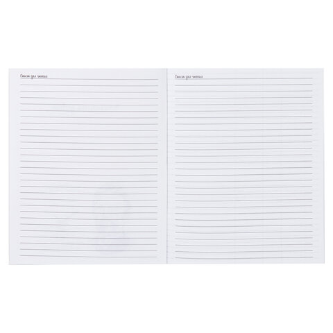 Читательский дневник школьника А5 40 листов, ПИФАГОР, "Кот учёный",