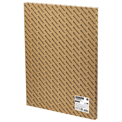 Пенокартон матовый, 50х70 см, толщина 5 мм, черный, КОМПЛЕКТ 5 листов, BRAUBERG, Пенокартон матовый, 50х70 см, толщина 5 мм, черный, КОМПЛЕКТ 5 листов, BRAUBERG,