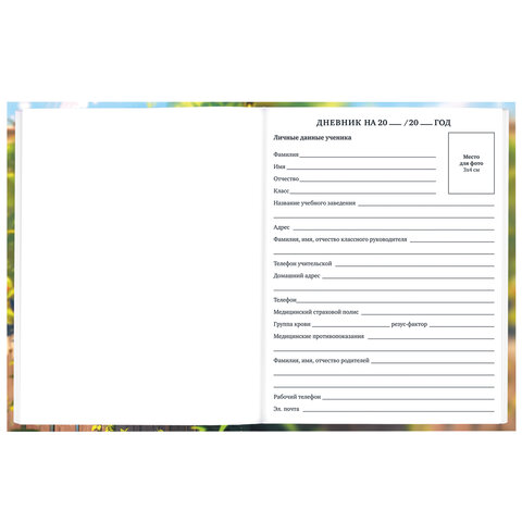 Дневник 1-11 класс 40 л., твердый, BRAUBERG, матовая ламинация, "Cute