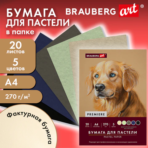 Бумага для пастели ФАКТУРНАЯ, А4, в папке, 20 листов, 5 цветов, 270 г/м2, Бумага для пастели ФАКТУРНАЯ, А4, в папке, 20 листов, 5 цветов, 270 г/м2,