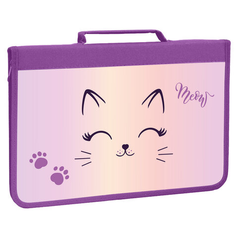 Папка для труда на молнии BRAUBERG А4 с ручкой, 1 отделение, органайзер, Папка для труда на молнии BRAUBERG А4 с ручкой, 1 отделение, органайзер,