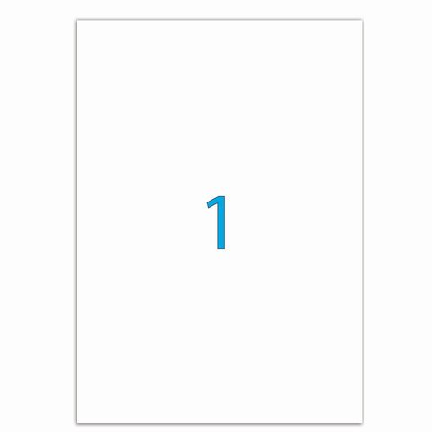 Этикетка самоклеящаяся 210х297 мм, 1 этикетка, белая, 70 г/м2, 50 л., LOMOND, Этикетка самоклеящаяся 210х297 мм, 1 этикетка, белая, 70 г/м2, 50 л., LOMOND,