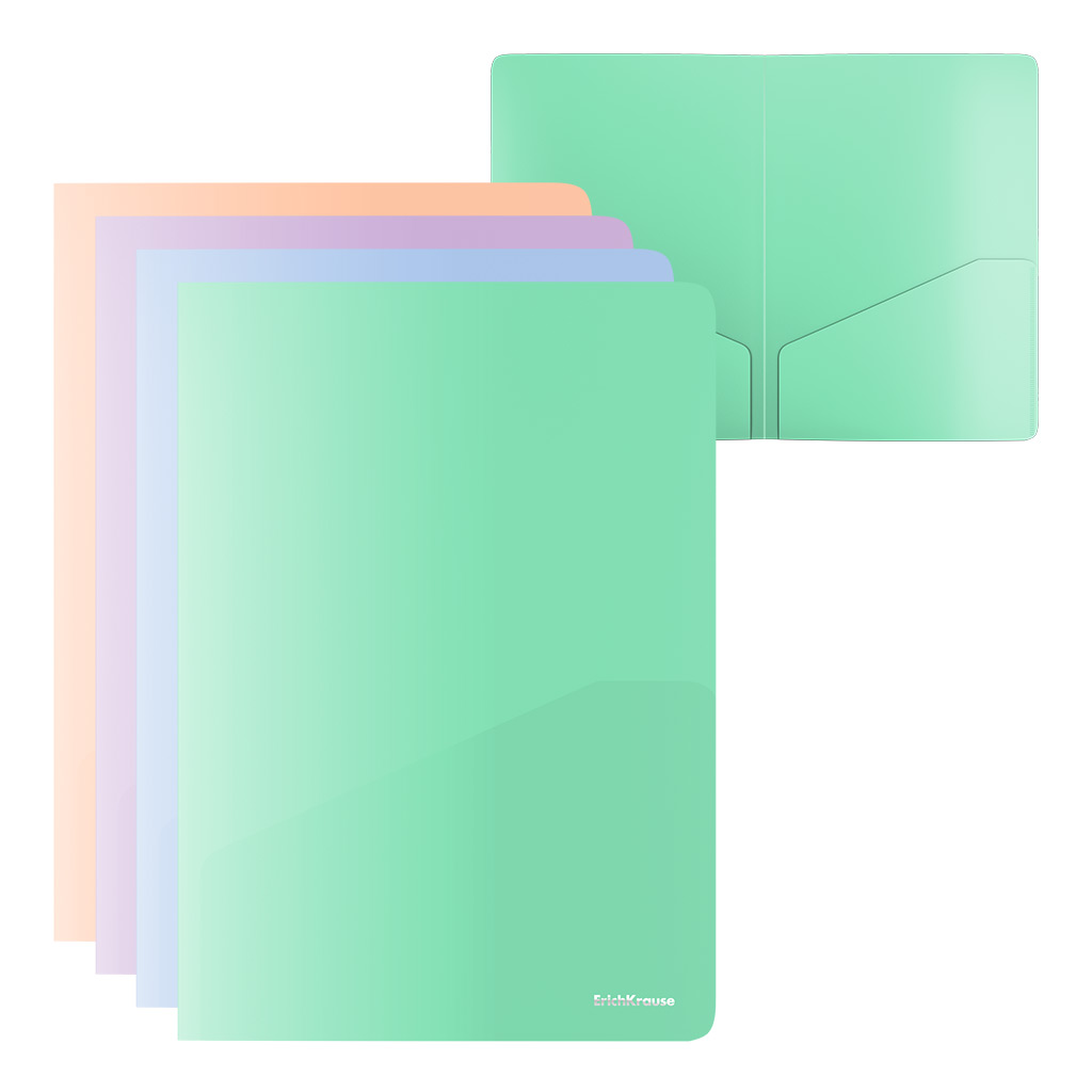 Папка-уголок пластиковая ErichKrause Matt Pastel Bloom, с 2 карманами, A4, Папка-уголок пластиковая ErichKrause Matt Pastel Bloom, с 2 карманами, A4,