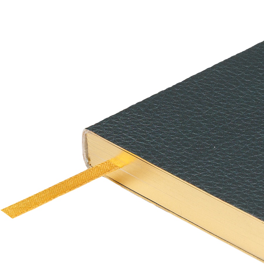 Ежедневник BrunoVisconti® недатированный А5 (125 х 200 мм) "ГЕКОНЧИК"