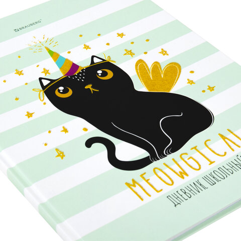 Дневник 1-11 класс 48 л., твердый, BRAUBERG, блестки, с подсказом,