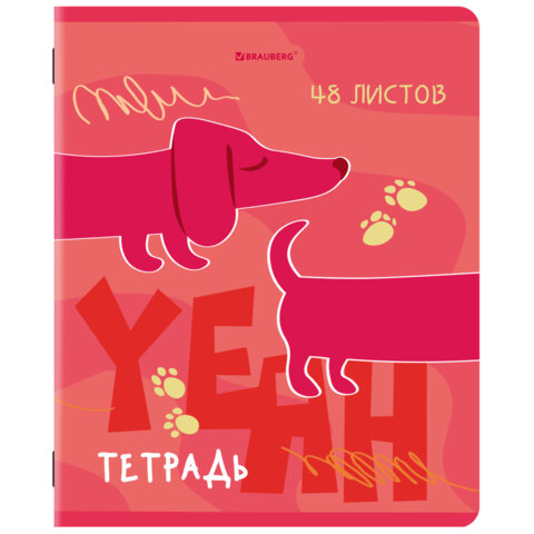 Тетради ДЭК А5 48 л. КОМПЛЕКТ 5 шт. BRAUBERG, скоба, клетка, TWIN-лак, Тетради ДЭК А5 48 л. КОМПЛЕКТ 5 шт. BRAUBERG, скоба, клетка, TWIN-лак,