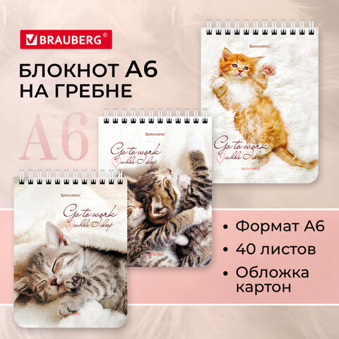 Блокнот МАЛЫЙ ФОРМАТ (108х145 мм) А6, 40 л., гребень, картон, клетка, BRAUBERG, Блокнот МАЛЫЙ ФОРМАТ (108х145 мм) А6, 40 л., гребень, картон, клетка, BRAUBERG,