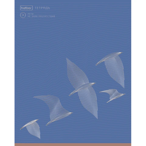 Тетрадь А5, 48 л., HATBER, скоба, клетка, soft-touch ламинация, 3D-фольга, Тетрадь А5, 48 л., HATBER, скоба, клетка, soft-touch ламинация, 3D-фольга,