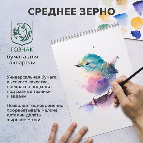 Скетчбук, акварельная белая бумага 200 г/м2 ГОЗНАК, 205х290 мм, 20 листов, Скетчбук, акварельная белая бумага 200 г/м2 ГОЗНАК, 205х290 мм, 20 листов,