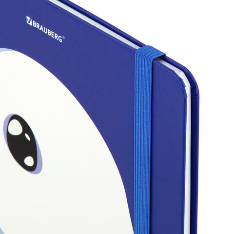 Дневник 1-11 класс 48 л., твердый, BRAUBERG, матовая ламинация, резинка,