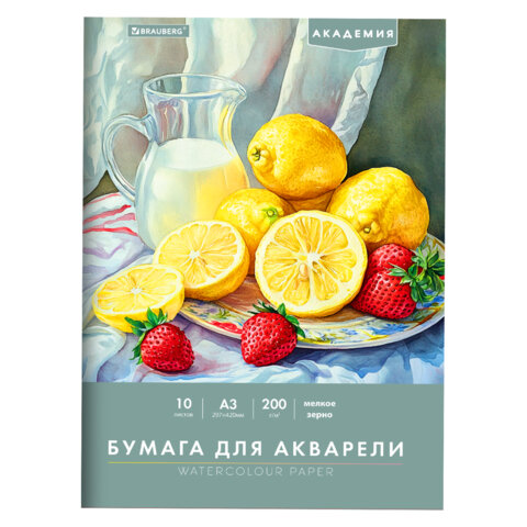 Папка для акварели БОЛЬШАЯ А3, 10 л., 200 г/м2, 297х420 мм, BRAUBERG АКАДЕМИЯ, Папка для акварели БОЛЬШАЯ А3, 10 л., 200 г/м2, 297х420 мм, BRAUBERG АКАДЕМИЯ,
