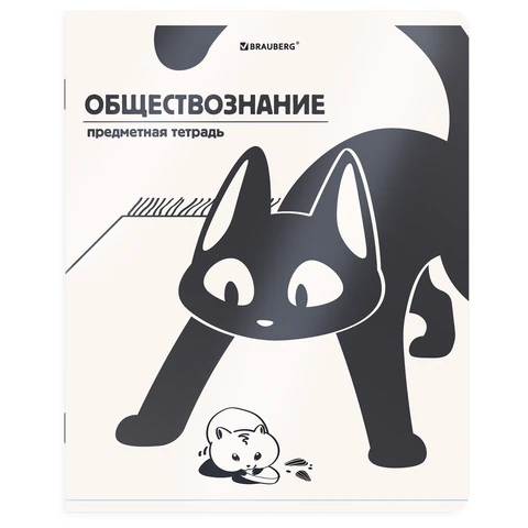 Тетради предметные, КОМПЛЕКТ 12 ПРЕДМЕТОВ 48 л., пластиковая обложка, BRAUBERG Тетради предметные, КОМПЛЕКТ 12 ПРЕДМЕТОВ 48 л., пластиковая обложка, BRAUBERG