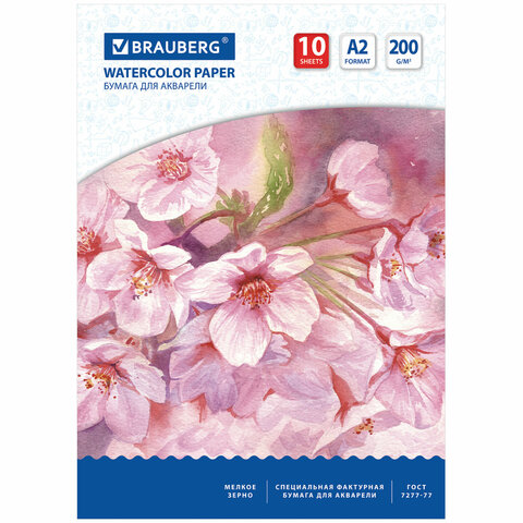 Папка для акварели БОЛЬШОГО ФОРМАТА А2, 10 л., 200 г/м2, BRAUBERG ART, 400х590 Папка для акварели БОЛЬШОГО ФОРМАТА А2, 10 л., 200 г/м2, BRAUBERG ART, 400х590