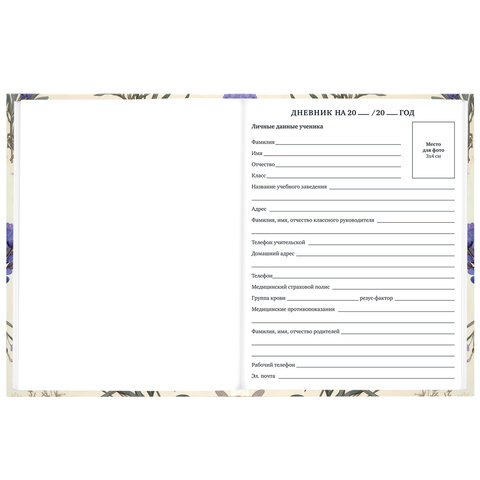 Дневник 1-11 класс 40 л., твердый, BRAUBERG, глянцевая ламинация,