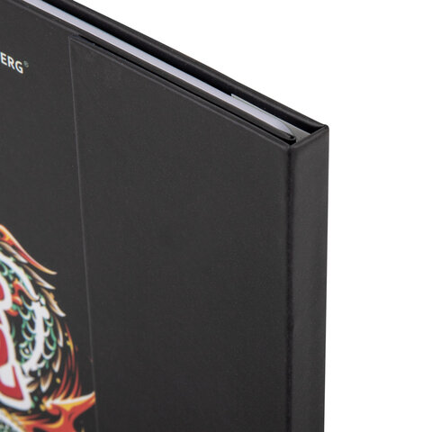 Дневник 1-11 класс 48 л., твердый, BRAUBERG, матовая ламинация, магнитный