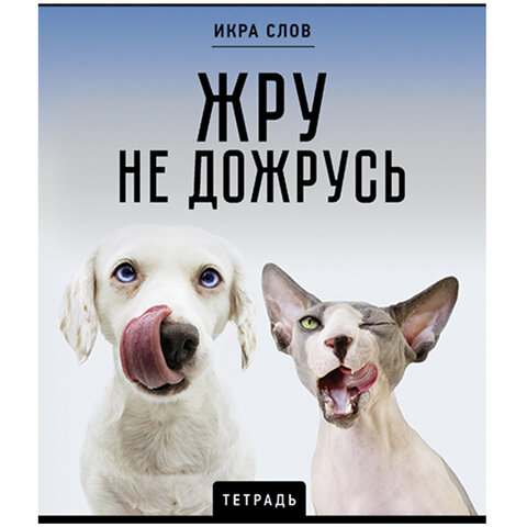 Тетрадь А5 48 л., ПЗБМ, скоба, клетка, конгрев, TWIN-лак, "Икра слов", Тетрадь А5 48 л., ПЗБМ, скоба, клетка, конгрев, TWIN-лак, "Икра слов",