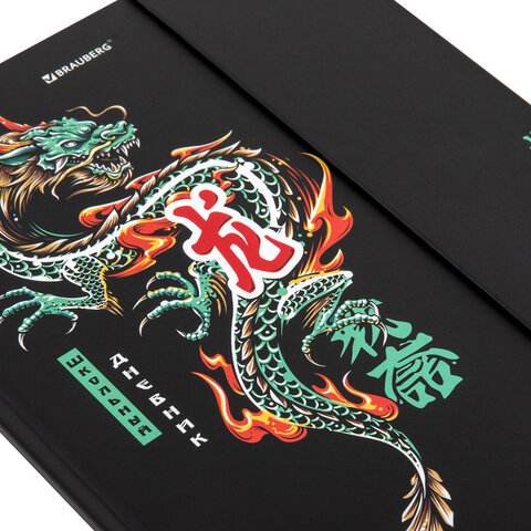 Дневник 1-11 класс 48 л., твердый, BRAUBERG, матовая ламинация, магнитный