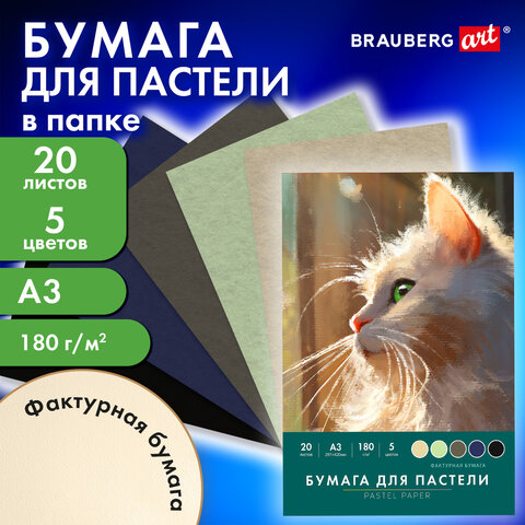Бумага для пастели БОЛЬШАЯ А3 в папке, 20 листов, 5 цветов, 180 г/м2, BRAUBERG