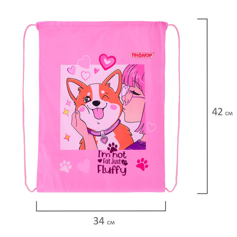 Мешок для обуви ПИФАГОР, 1 отделение, 42х34 см, "Fluffy akita", 272385 Мешок для обуви ПИФАГОР, 1 отделение, 42х34 см, "Fluffy akita", 272385