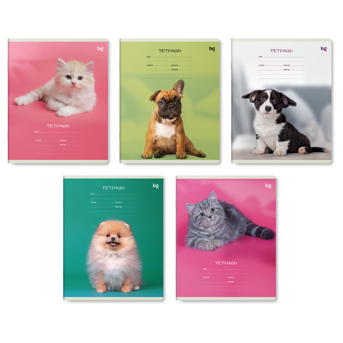 Тетрадь 12л., линия BG "Little animal" Тетрадь 12л., линия BG "Little animal"