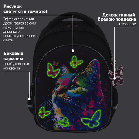 Рюкзак BRAUBERG OPTIMA, 2 отделения, с брелоком, "Butterfly catcher", Рюкзак BRAUBERG OPTIMA, 2 отделения, с брелоком, "Butterfly catcher",