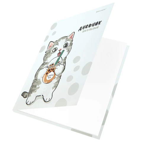 Дневник 1-11 класс 40 л., твердый, BRAUBERG, матовая ламинация,