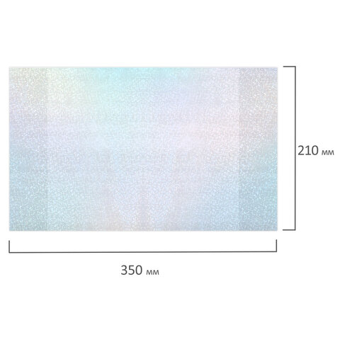 Обложки с ГОЛОГРАММОЙ для тетрадей и дневников, КОМПЛЕКТ 5 шт., ПЛОТНЫЕ, 100
