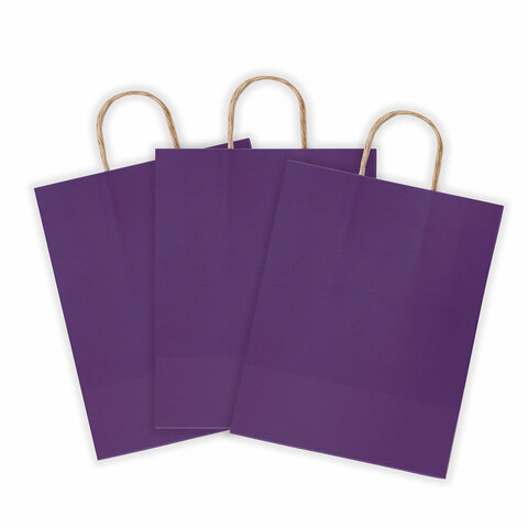 Крафт-пакет бумажный "Dark violet" 26х15х35 см, с кручеными ручками, Крафт-пакет бумажный "Dark violet" 26х15х35 см, с кручеными ручками,