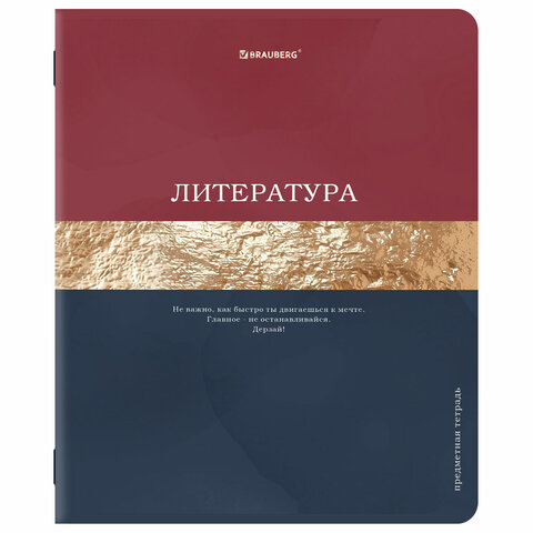 Тетради предметные, КОМПЛЕКТ 12 ПРЕДМЕТОВ, 48 л., матовая ламинация, фольга, Тетради предметные, КОМПЛЕКТ 12 ПРЕДМЕТОВ, 48 л., матовая ламинация, фольга,