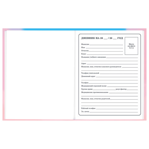 Дневник 1-4 класс 48 л., твердый, BRAUBERG, выборочный лак, с подсказом,